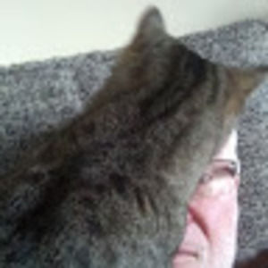 Meet your Posher, Mel